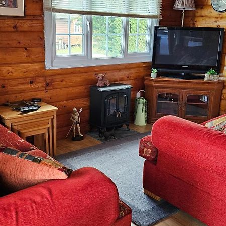 Snowdonia National Park Log Cabin With Garden Trawsfynydd Kültér fotó
