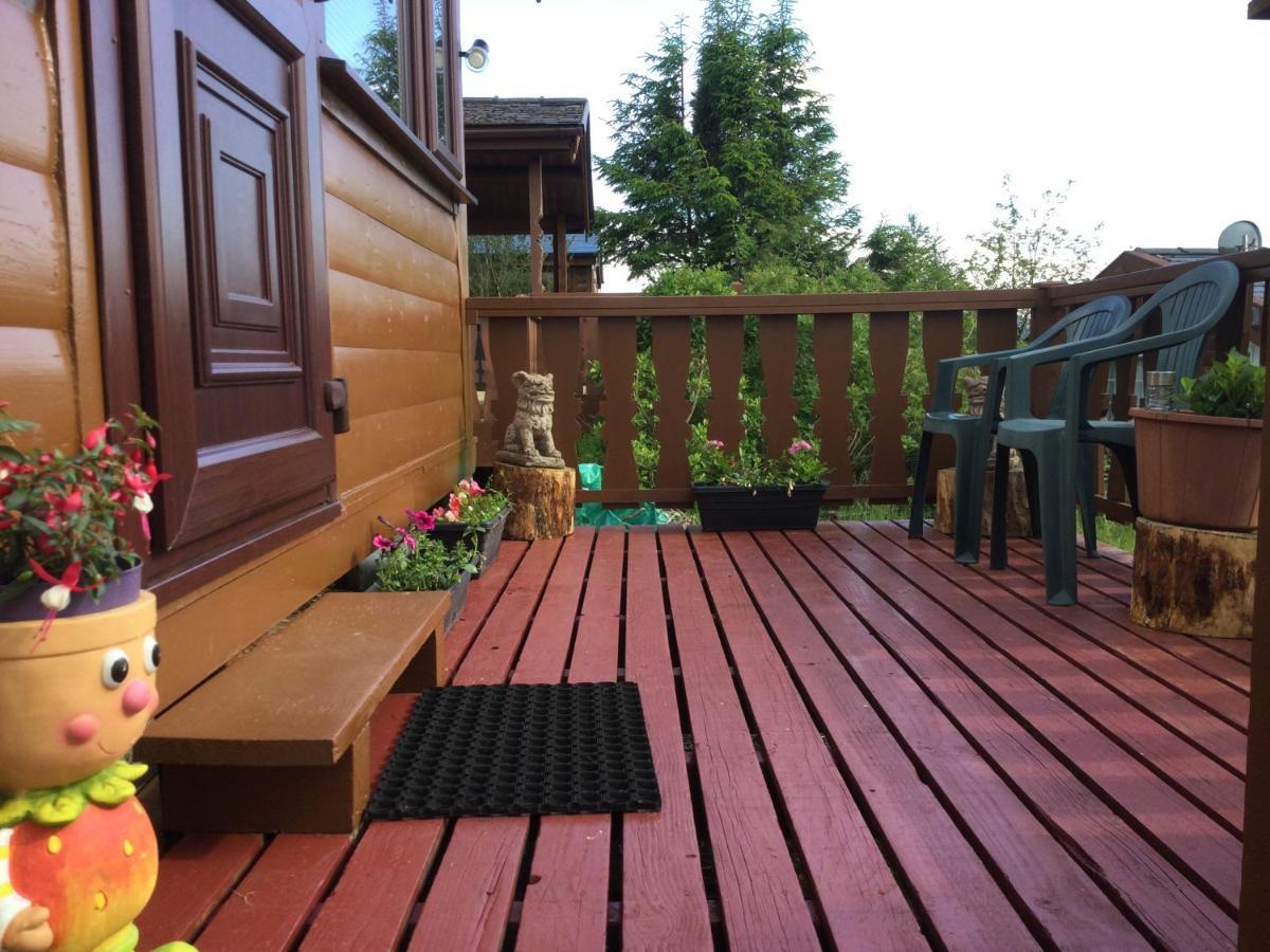 Snowdonia National Park Log Cabin With Garden Trawsfynydd Kültér fotó