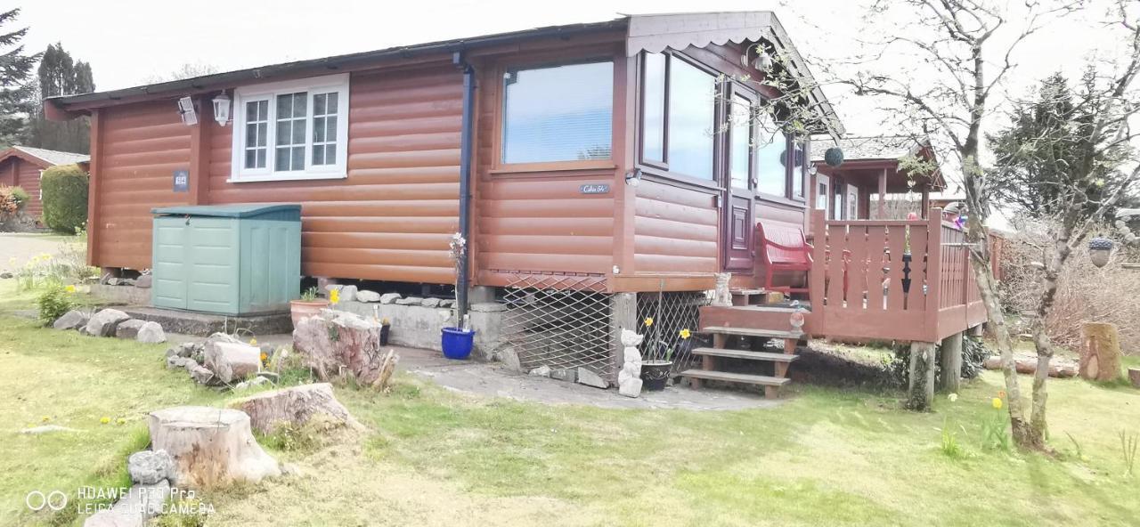 Snowdonia National Park Log Cabin With Garden Trawsfynydd Kültér fotó